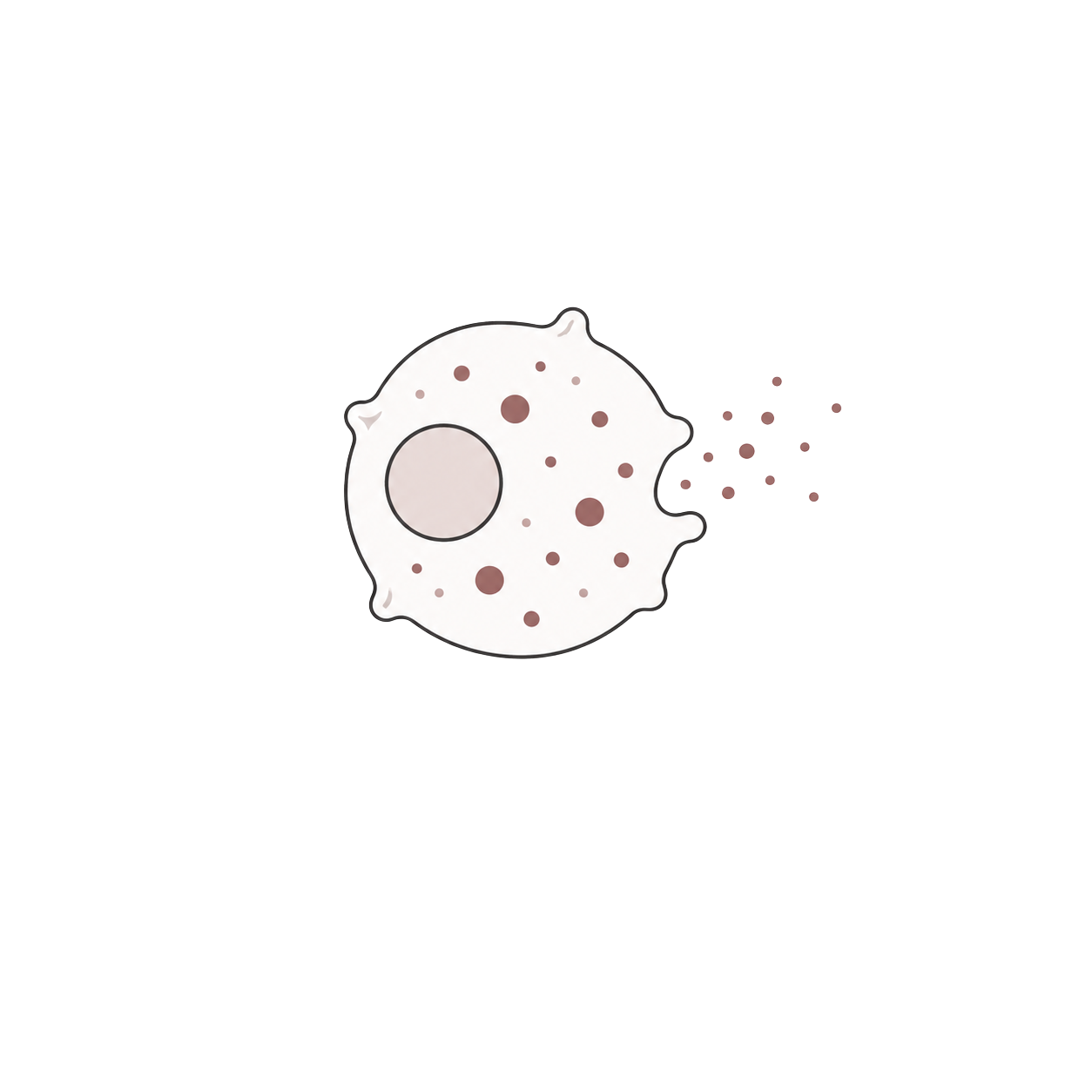 MCAS and mast cell reactivity icon