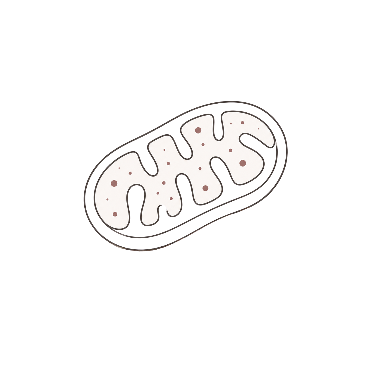 Mitochondrial dysfunction icon